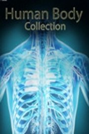 Human Body Collection Season 1 Episode 7