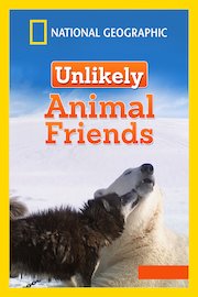 Unlikely Animal Friends Season 3 Episode 2