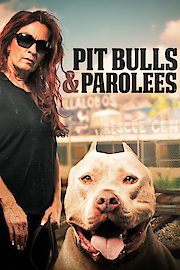 Pit Bulls and Parolees Season 17 Episode 5