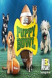 Puppy Bowl Season 18 Episode 3