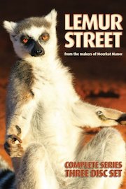 Lemur Street Season 1 Episode 3