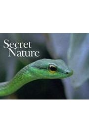 Secret Nature Season 1 Episode 2