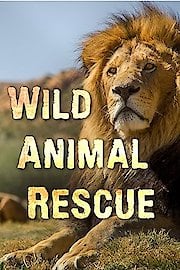 Wild Animal Rescue Season 1 Episode 2