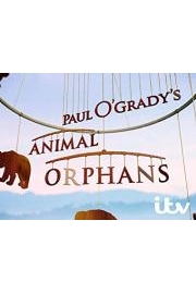 Paul O'Grady's Animal Orphans Season 1 Episode 3