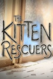 Kitten Rescuers Season 1 Episode 2