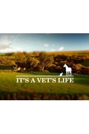 It's A Vet's Life Season 1 Episode 11