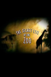 The Secret Life of the Zoo Season 5 Episode 3