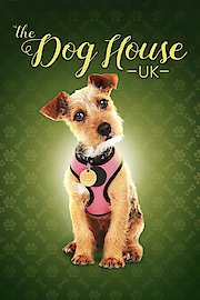 The Dog House: UK Season 3 Episode 9