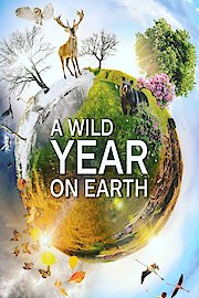 A Wild Year On Earth Season 1 Episode 3