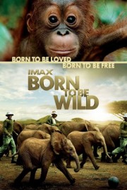 Born To Be Wild Season 1 Episode 8