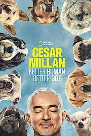 Cesar Millan: Better Human Better Dog Season 4 Episode 7