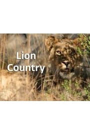 Lion Country Season 1 Episode 1